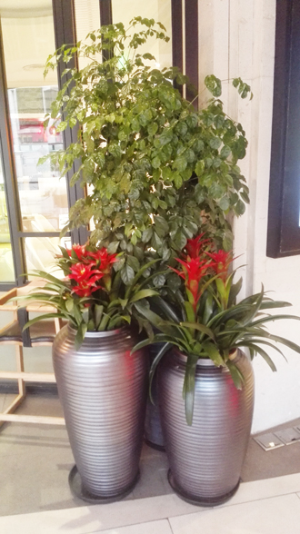 �����̻�ֲ������